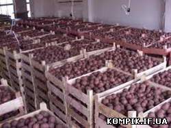 Картинка Плодо-овочесховище на 2 тисячі тонн буде на Прикарпатті
