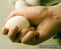Картинка Усі нещастя Януковича почалися з яйця