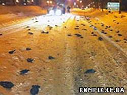 Картинка У Швеції впало близько сотні мертвих птахів: четвертий загадковий випадок з початку року.Відео